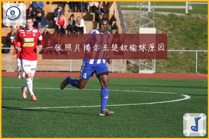 一张照片揭示王楚钦输球原因