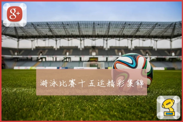 游泳比赛十五运精彩集锦