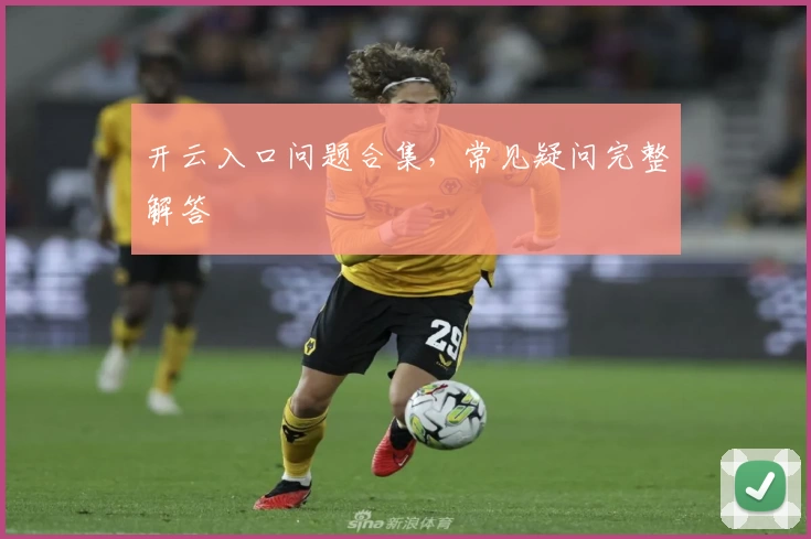 开云入口问题合集，常见疑问完整解答